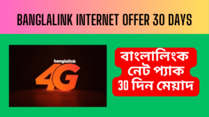 Banglalink Internet Offer 30 Days 2023 - বাংলালিংক ইন্টারনেট অফার ৩০ দিন মেয়াদ