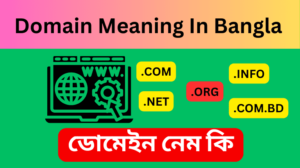 Domain Meaning In Bengali | ডোমেইন নেম কি? সাব ডোমেন কি