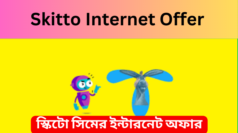 How to check skitto internet balance
