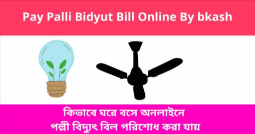 Palli Bidyut Bill Check Online and Payment System