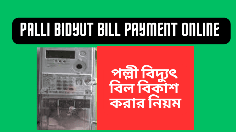 Palli Bidyut Bill Payment Online পল্লী বিদ্যুৎ বিল বিকাশ করার নিয়ম