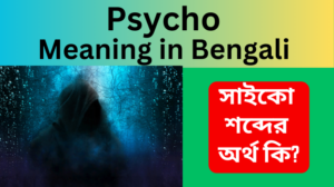Psycho Meaning in Bengali Psycho শব্দের অর্থ কি