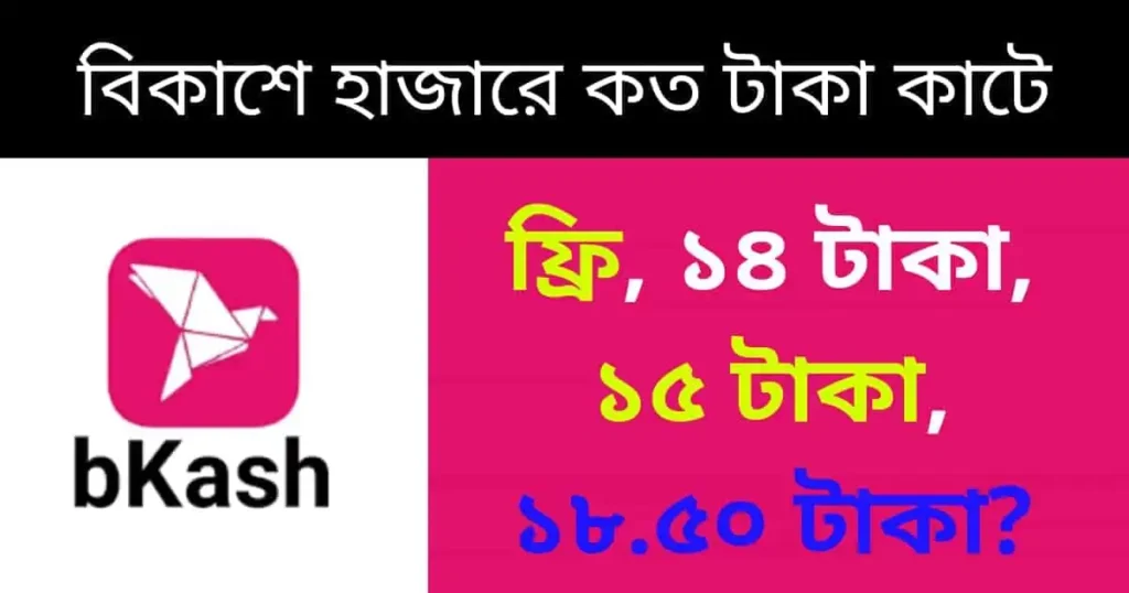 বিকাশে হাজারে কত টাকা কাটে
