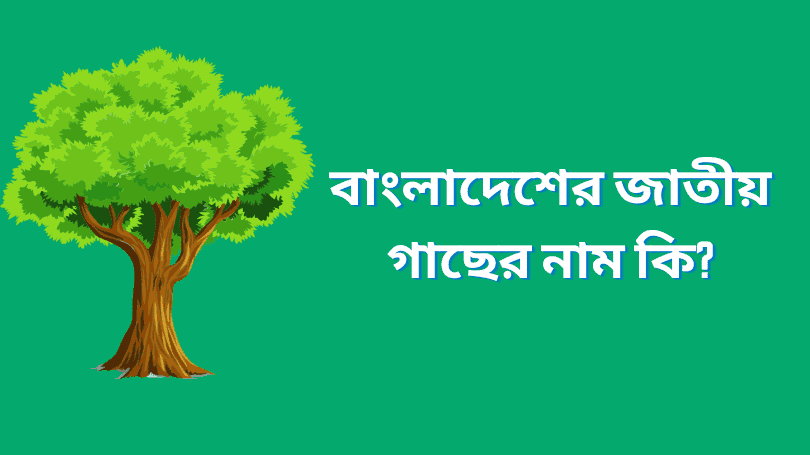 বাংলাদেশের জাতীয় গাছের নাম কি? The National Tree of Bangladesh