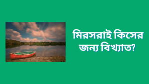 মিরসরাই কিসের জন্য বিখ্যাত