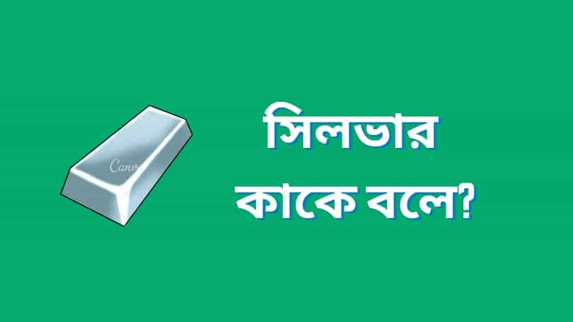 সিলভার কাকে বলে | What is Silver in Bangla?