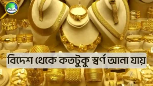 bidesh-theke-kototuku-shona-ana-jay-shulk-chhara