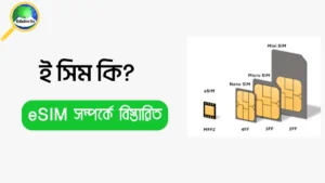 ই সিম কি