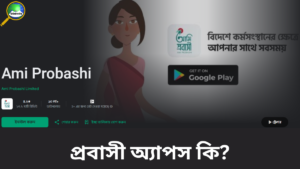 প্রবাসী অ্যাপস কি, কীভাবে ব্যবহার করবেন এবং প্রবাসীরা কী কী সুবিধা পাচ্ছেন তা জানুন সহজ ভাষায়।