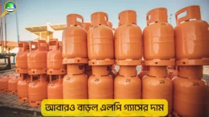 আবারও বাড়ল এলপি গ্যাসের দাম: জানুয়ারিতে ১২ কেজি সিলিন্ডারের নতুন মূল্য কত
