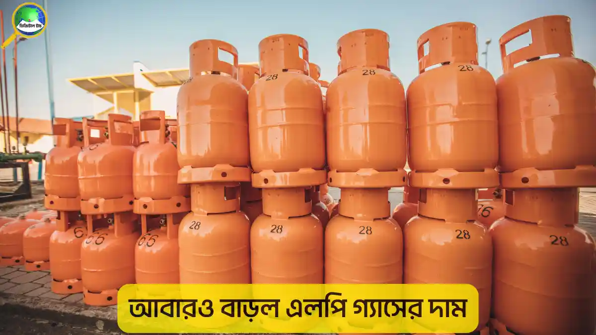 আবারও বাড়ল এলপি গ্যাসের দাম: জানুয়ারিতে ১২ কেজি সিলিন্ডারের নতুন মূল্য কত