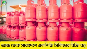 আজ থেকে সারাদেশে এলপিজি সিলিন্ডার বিক্রি বন্ধ: নতুন দাম ও কারণ জানুন