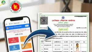 ওয়ারিশ সনদ অনলাইন আবেদন করার নিয়ম বিস্তারিত জানুন